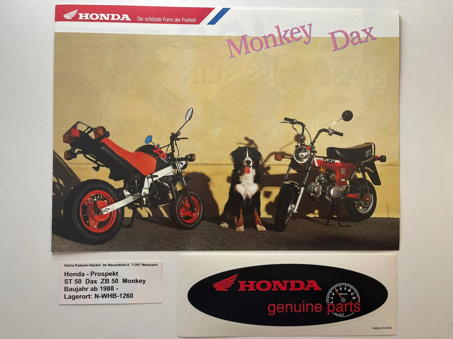 Prospekt Honda ZB50 ZB 50 Monkey ST50 ST 50 Dax Baujahr 1988 + Aufkleber