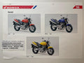 CB600 CB 600 Hornet Baujahr 2000 - Honda Original Farbchart Prospekt