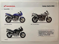CB600 CB 600 F2 Hornet S Baujahr 2002 - Honda Original Farbchart Prospekt