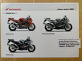 CBR600FS CBR 600 FS Sport Baujahr 2002 - Honda Original Farbchart Prospekt