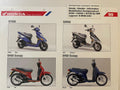 SH50 Scoopy SFX50 SXR50 Bj. 1999 - Honda Original Farbchart Prospekt
