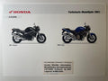 CB1100SF CB 1100 SF X-Eleven X-11 Bj. 2001 - Honda Original Farbchart Prospekt