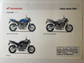 CB900F CB 900 F Hornet Bj. 2002 - Honda Original Farbchart Prospekt