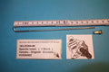 Speiche _ innen _ hinten _ DT 100 _ RD 125 _ Bj 1974 - 1976 _ 183-25304-00